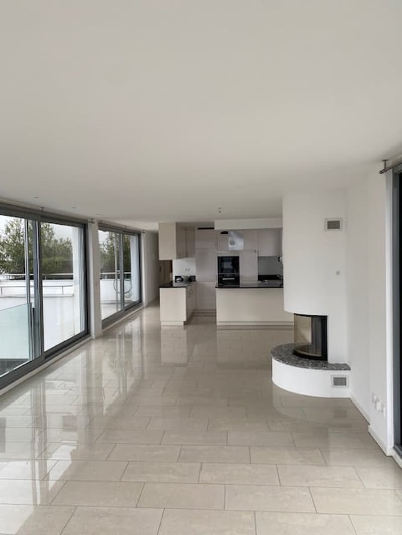 Ampio appartamento 4.5 locali di mq 150 a Paradiso (4)