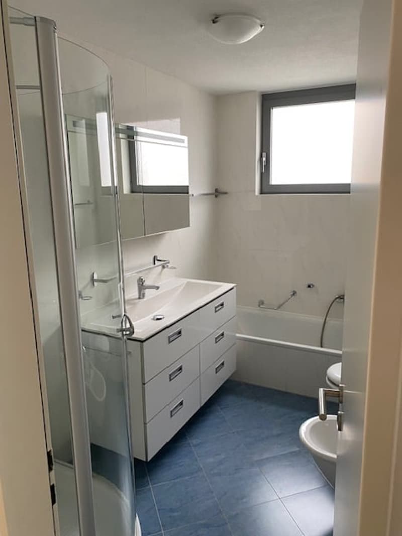 Ampio appartamento 4.5 locali di mq 150 a Paradiso (7)