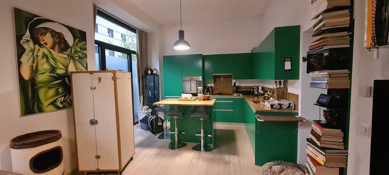 green cabinets, white fridge, island table, cat furniture, books
