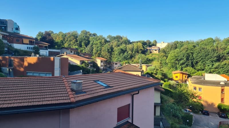 3,5 locali all'ultimo piano in affitto in Vicolo Bena (20)