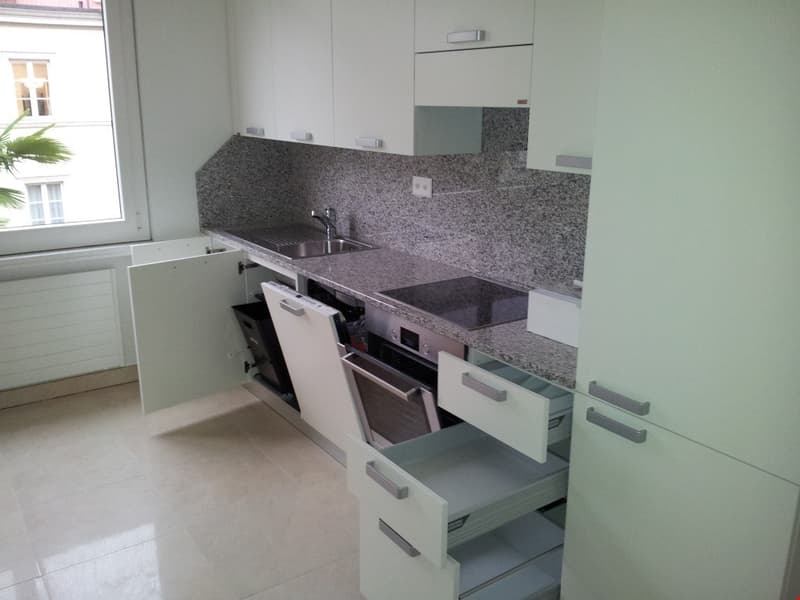 Appartamento nuovo in viale Giuseppe Cattori 10, Lugano (11)