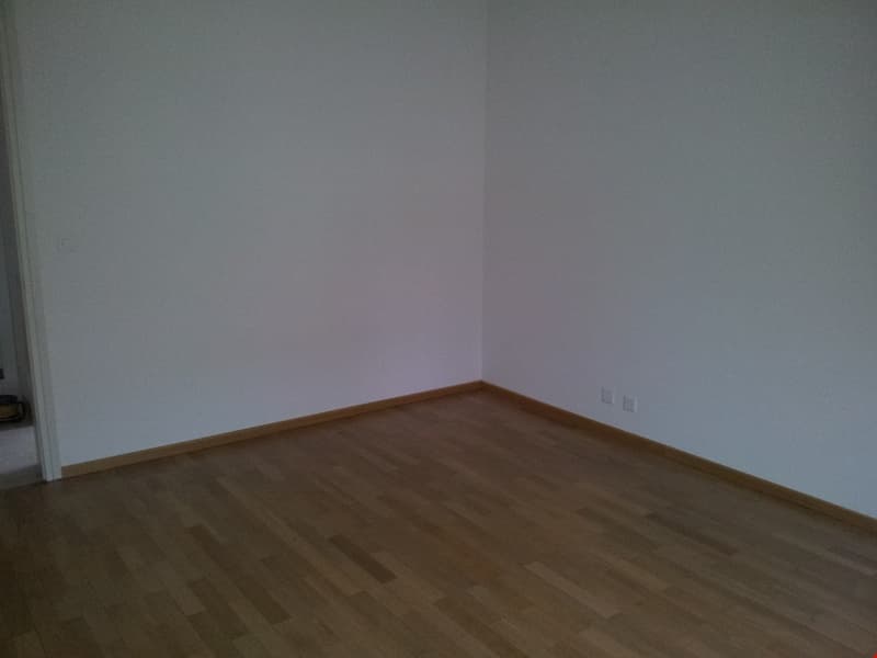 Appartamento nuovo in viale Giuseppe Cattori 10, Lugano (6)