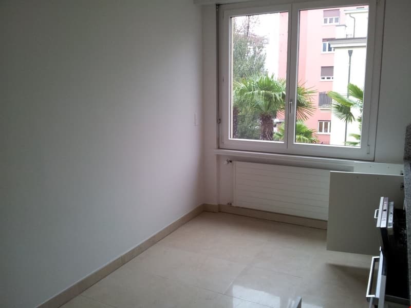 Appartamento nuovo in viale Giuseppe Cattori 10, Lugano (9)