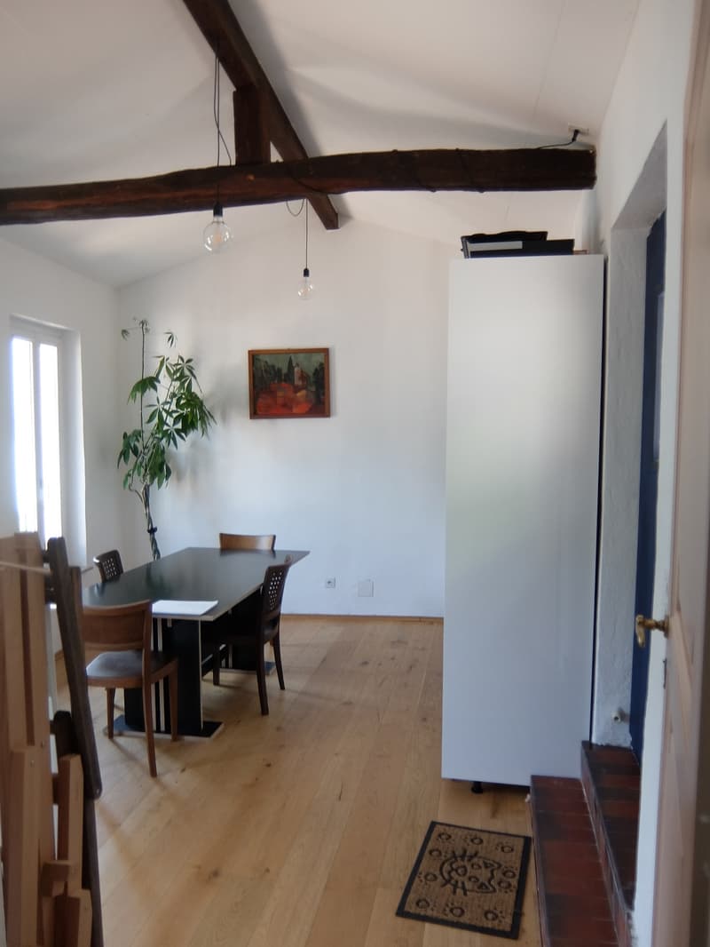 Si affitta a Gandria straordinario appartamento con giardino e vista lago (6)