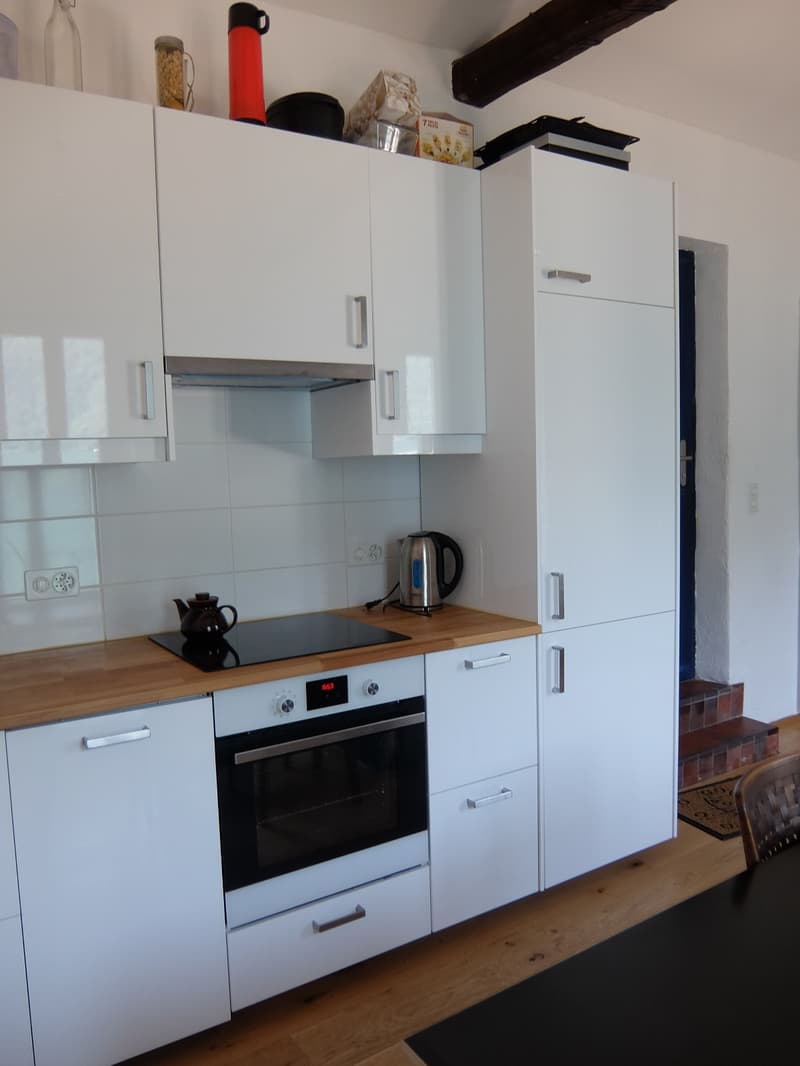 Si affitta a Gandria straordinario appartamento con giardino e vista lago (7)