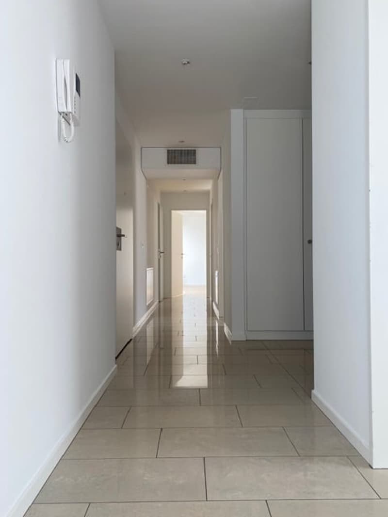 Ampio appartamento 4.5 locali di mq 150 a Paradiso (7)