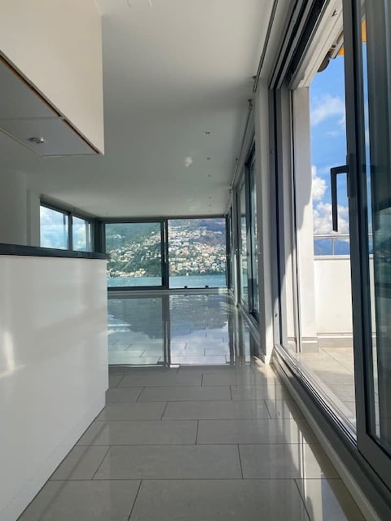 Ampio appartamento 4.5 locali di mq 150 a Paradiso (2)