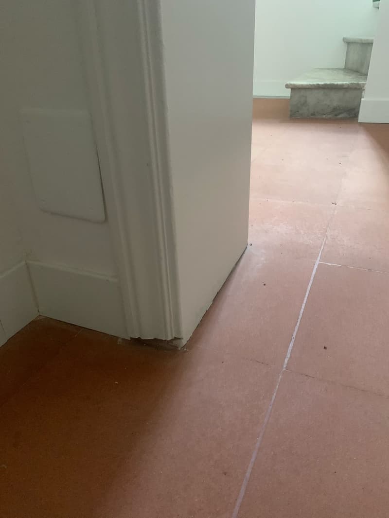Villa di lusso ristrutturata con giardino nel cuore di Roma (21)