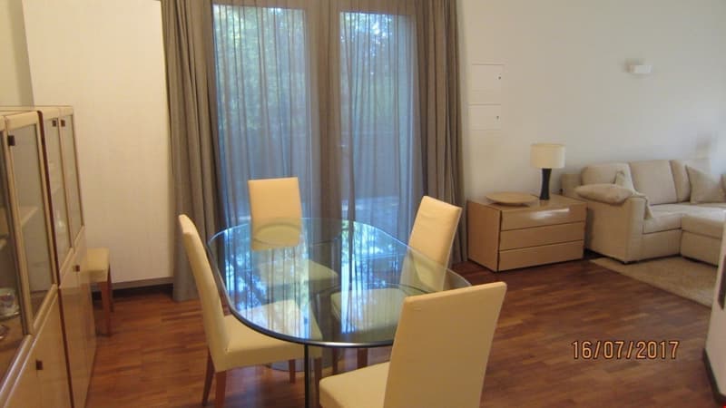 Appartamento arredato di 5,5 locali con giardino privato (6)