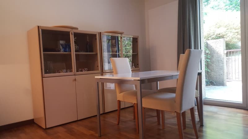 Appartamento arredato di 5,5 locali con giardino privato (12)