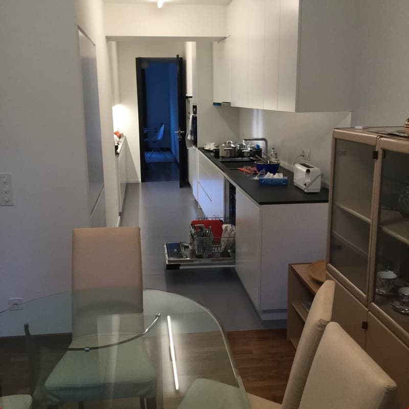 Appartamento arredato di 5,5 locali con giardino privato (17)