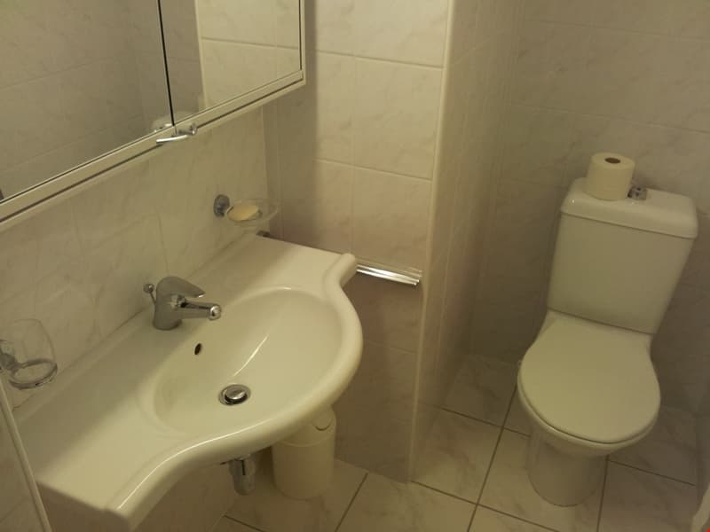 Appartamento di 2 locali a Massagno (8)
