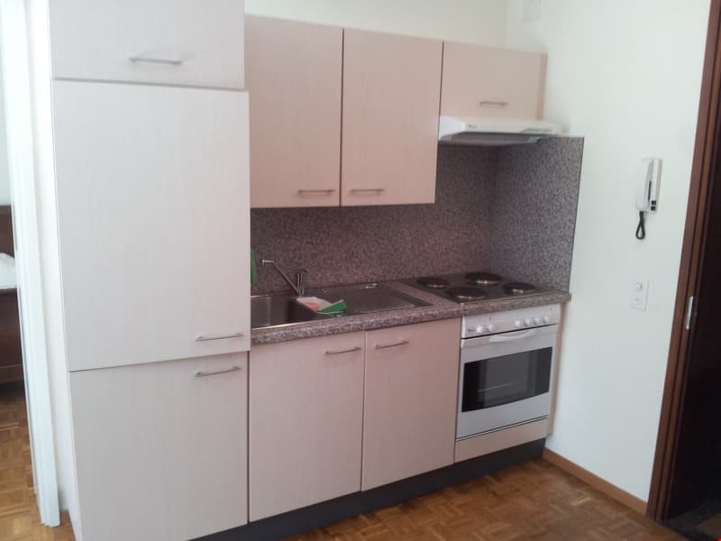 Appartamento di 2 locali a Massagno (4)