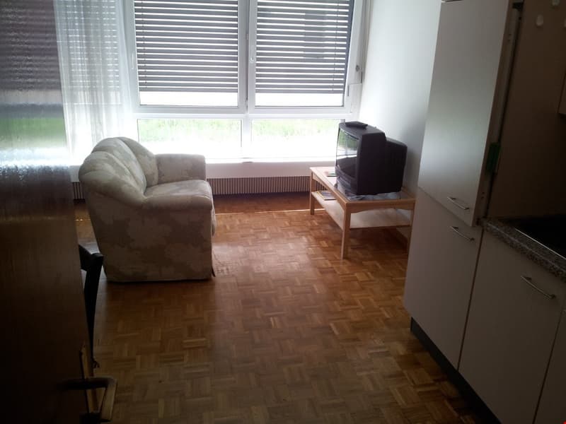 Appartamento di 2 locali a Massagno (2)