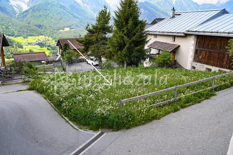 Charmanter Hausteil mit Heuschopf und Entwicklungspotenzial (6)