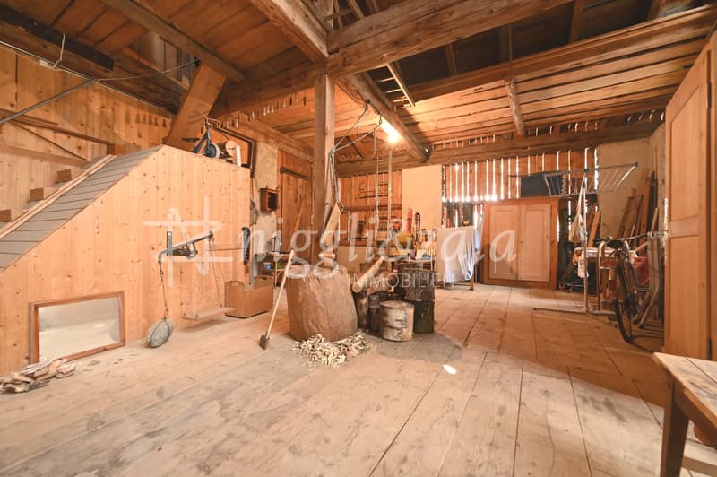 Charmanter Hausteil mit Heuschopf und Entwicklungspotenzial (4)