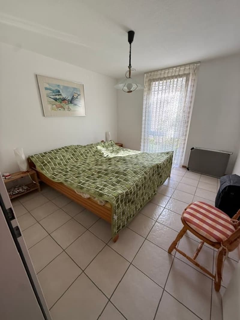 Accogliente appartamento di 2 locali con balcone e vista sulle montagne a Ponte Capriasca (9)