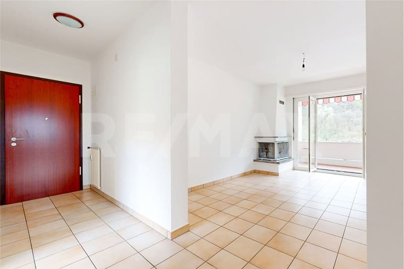 Accogliente appartamento 3.5 locali (4)