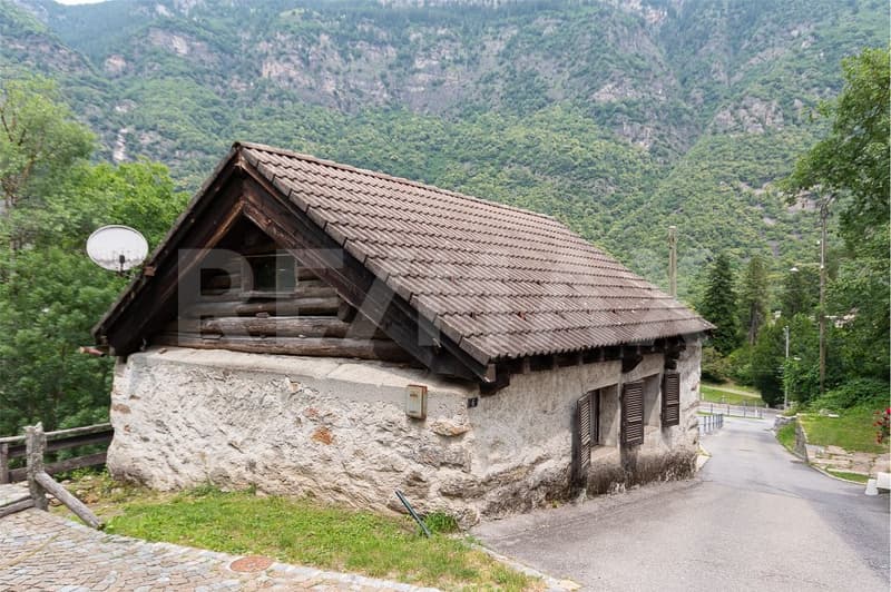 Rustico di 3.5 locali da ristrutturare (4)