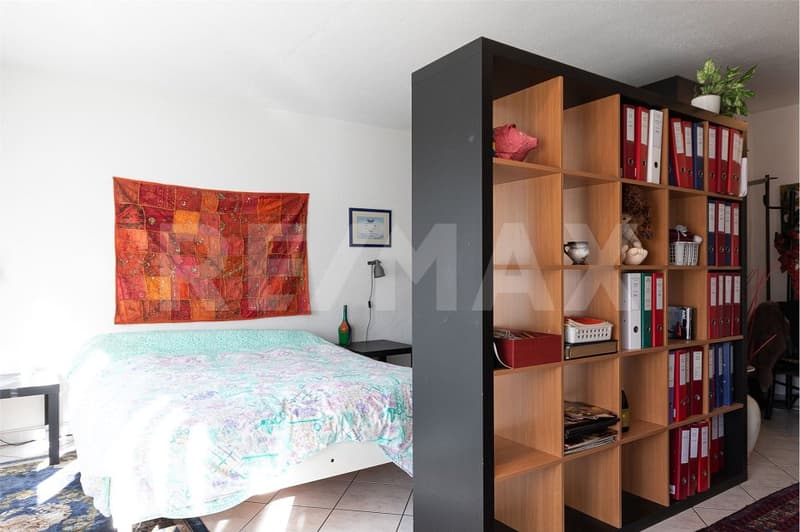 Appartamento duplex di 4.5 locali (4)