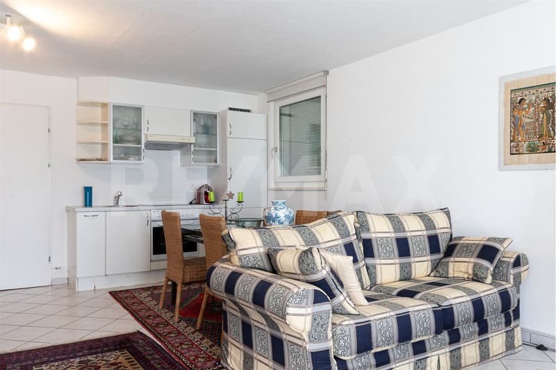 Appartamento duplex di 4.5 locali (4)