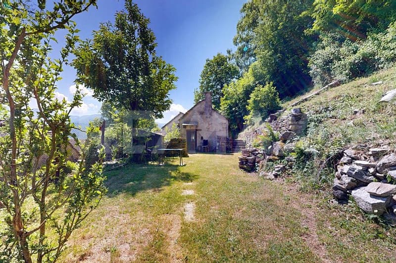 Rustico con giardino e bosco (6)