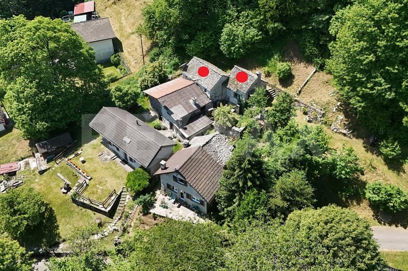 Rustico con giardino e bosco (3)