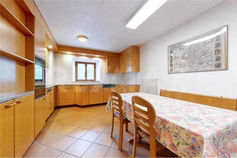 Spazioso appartamento di montagna (8)