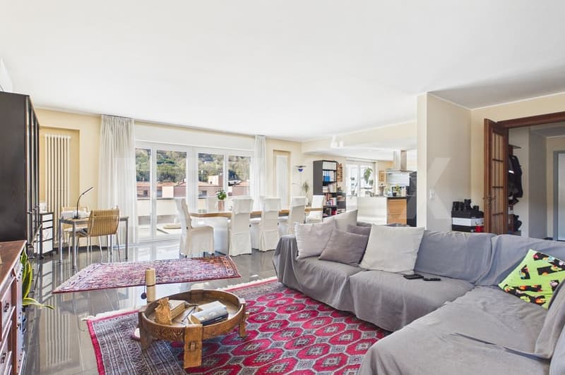 Appartamento soleggiato con ampia terrazza panoramica (44 m²) (4)