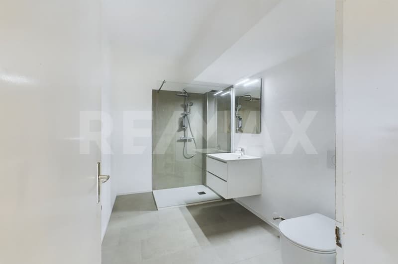 Luminoso e rinnovato 2,5 locali con terrazzo (5)