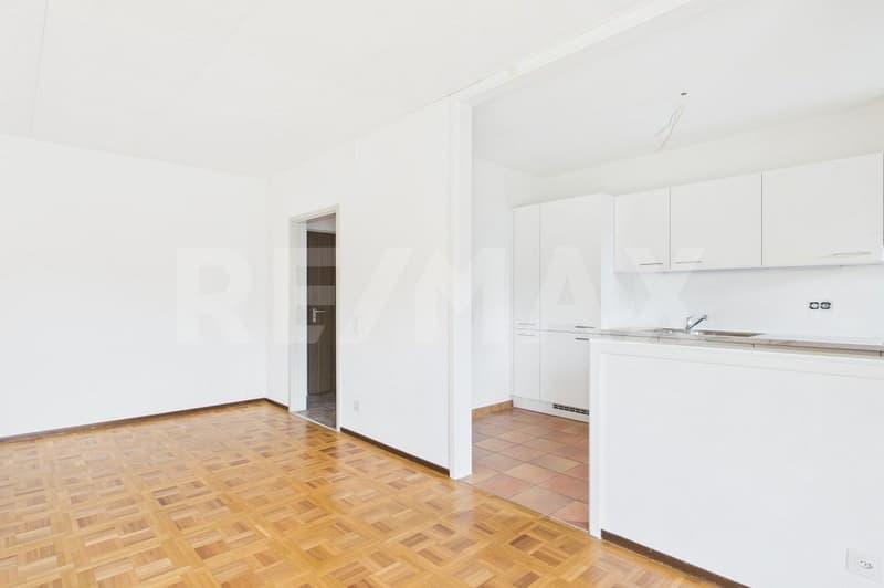 Rinnovato appartamento 2,5 con balcone e posteggio (4)