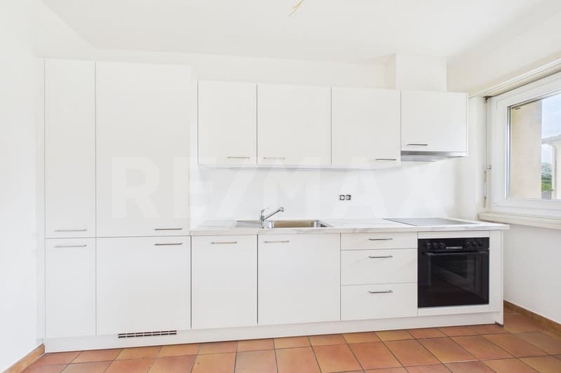 Rinnovato appartamento 2,5 con balcone e posteggio (3)
