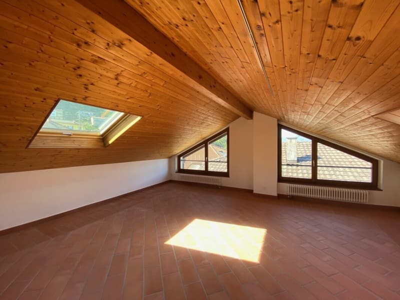 Straordinaria casa ticinese nel nucleo (5)
