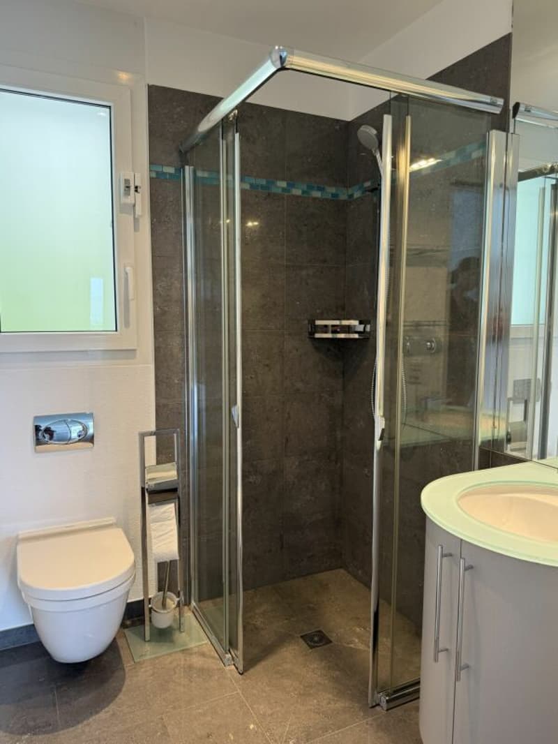 Wohnung mit grossen Terrassen und Pool (7)