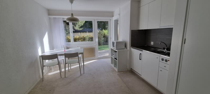 «Flims Village - Appartamento arredato luminoso e centrale di 1,5 locali con giardino» (7)