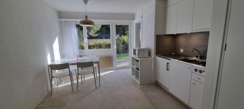 «Flims Village - Appartamento arredato luminoso e centrale di 1,5 locali con giardino» (6)