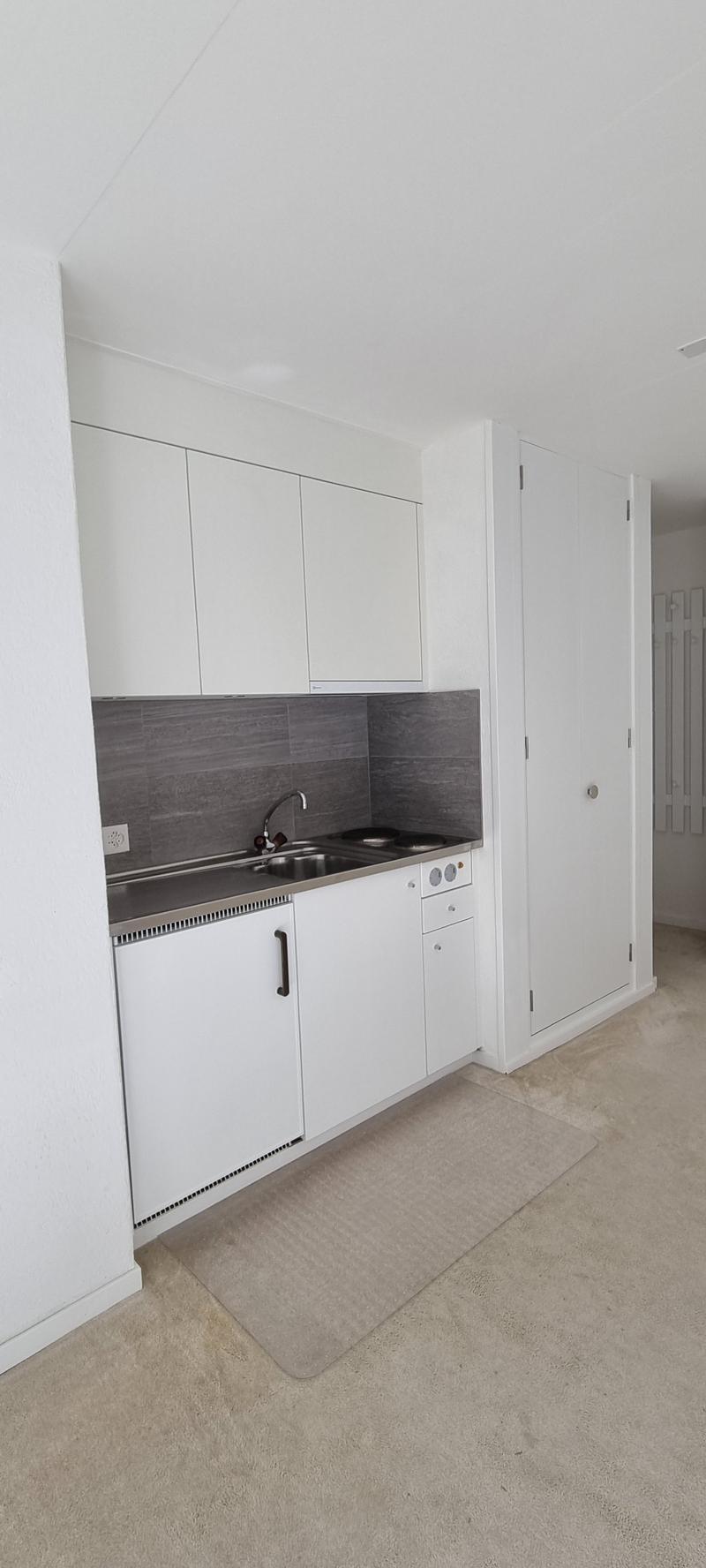 Bright 1-room apartment with terrace and parking (3)