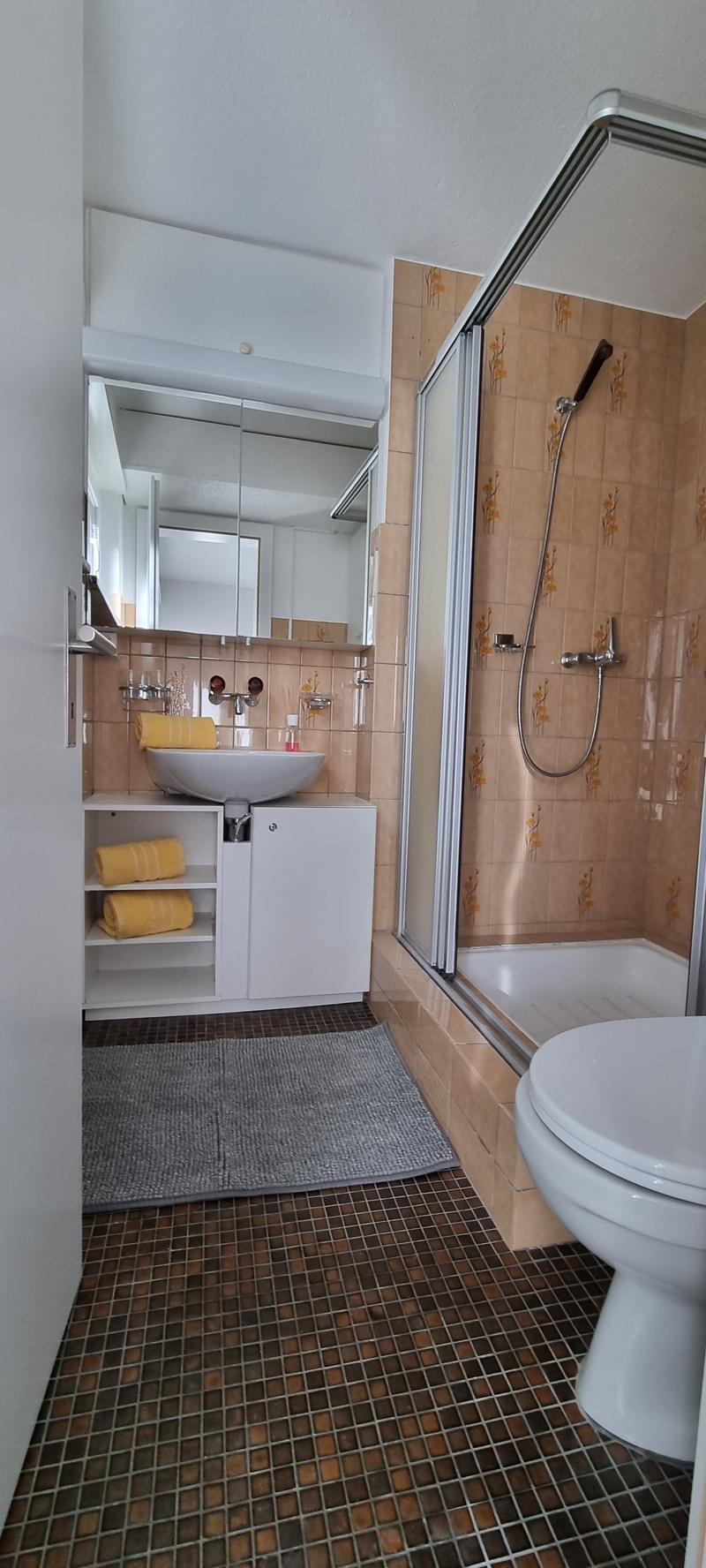 Bright 1-room apartment with terrace and parking (7)