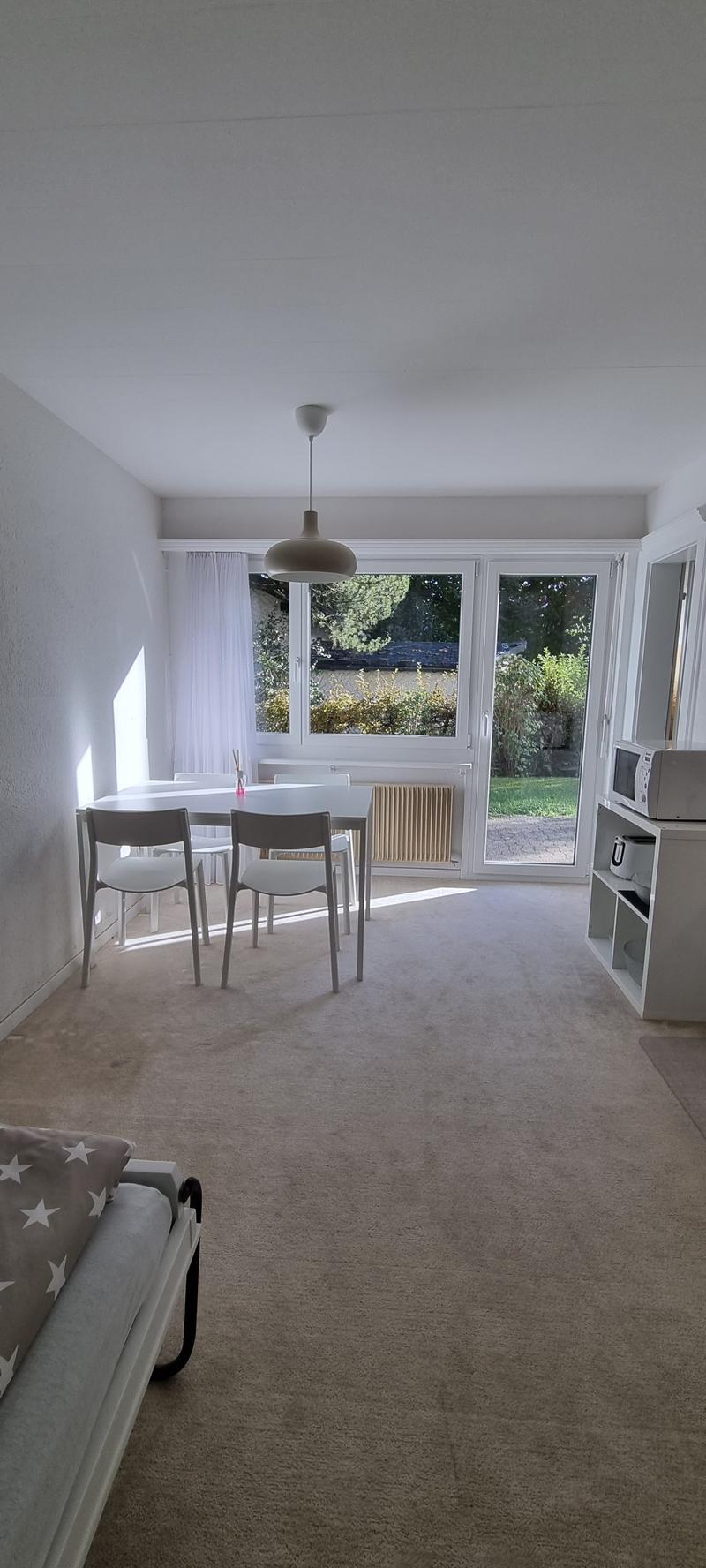 Helle 1 Zi-Wohnung mit Terrasse (3)