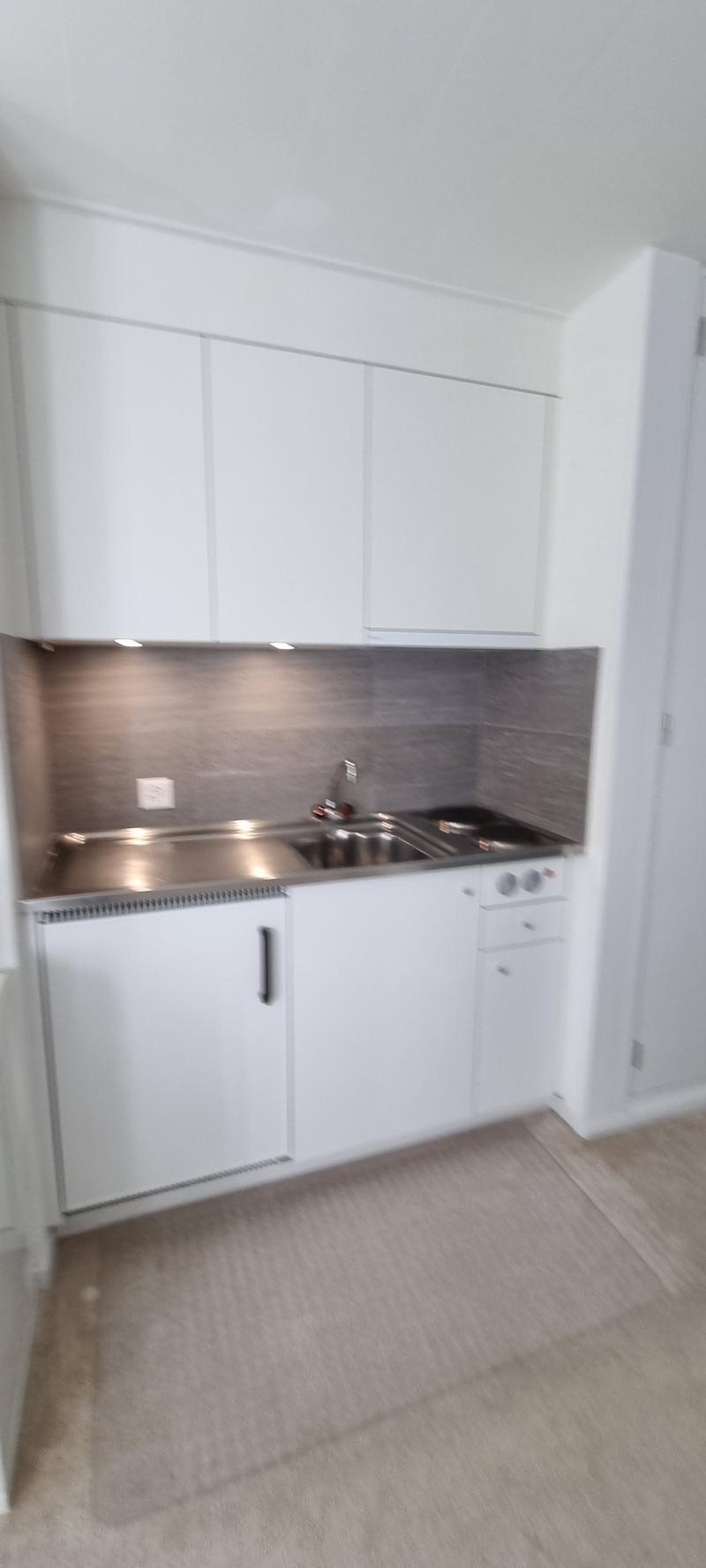 Helle 1 Zi-Wohnung mit Terrasse (4)
