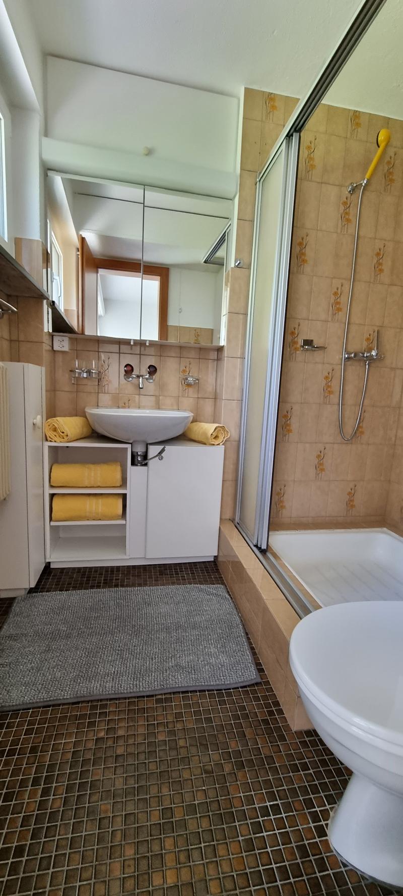 Helle 1 Zi-Wohnung mit Terrasse (6)