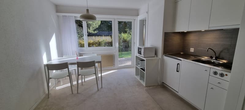 Helle 1 Zi-Wohnung mit Terrasse (2)