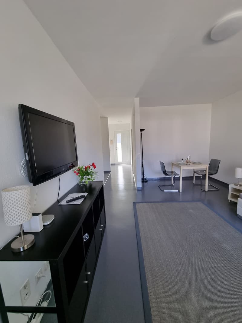 Wunderschöne 1.5 Zi-Wohnung mit Balkon in Ascona (3)