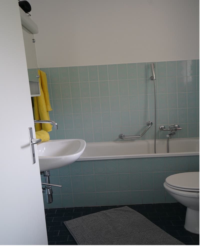 Schöne 1.5 Zi-Wohnung mit Terrasse (10)