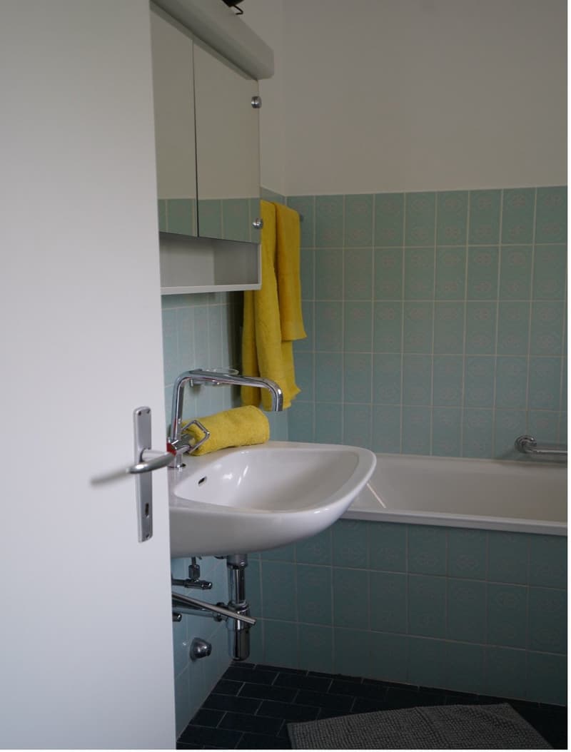 Schöne 1.5 Zi-Wohnung mit Terrasse (9)