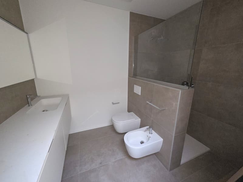 white vanity, mirror, shower, bidet, toilet