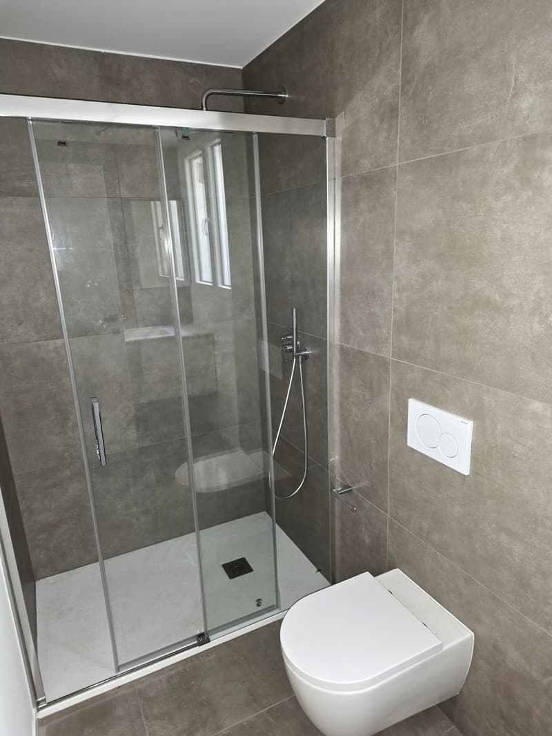 Modern bathroom with glass shower enclosure, gray tiles, white porcelain toilet, sleek fixtures, compact layout