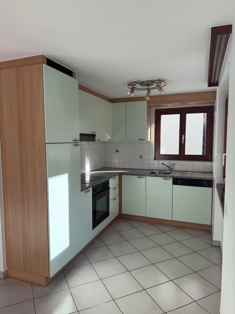 kitchen, wooden cabinets, white countertops, fridge, oven, sink, dishwasher, ceiling lamp