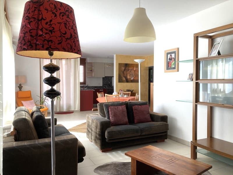 two couches, a wooden coffee table, a bookshelf, floor lamp, a chair, a dining table, a kitchen with a counter