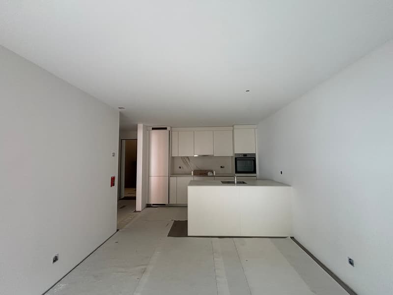 Moderni appartamenti di 2.5 locali con grande giardino in prima locazione a Cadenazzo (5)